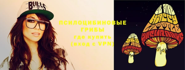 кокс Алексин