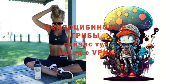 молекула духа Алексеевка