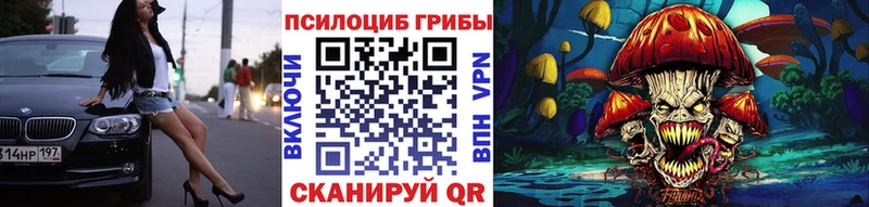 МЕГА зеркало  наркота  Киреевск  Псилоцибиновые грибы MAGIC MUSHROOMS 